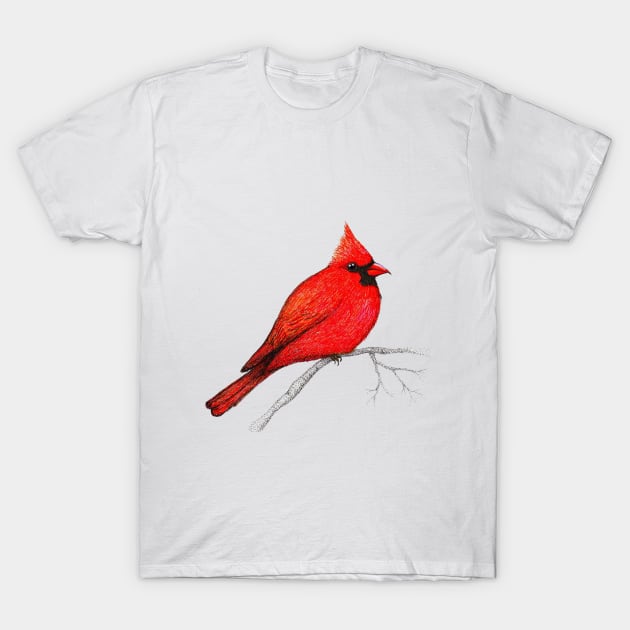 Northern cardinal pen drawing T-Shirt by Bwiselizzy